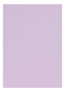 Clairefontaine Zeichenpapier A4 160g flieder 5B