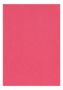 Clairefontaine Zeichenpapier A4 160g fuchsia 5B
