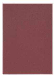 Clairefontaine Zeichenpapier A4 160g bordeaux 5B