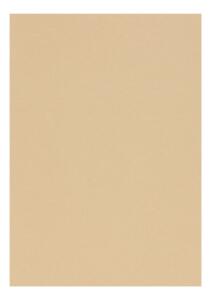 Clairefontaine Zeichenpapier A4 160g kamelbraun 5B