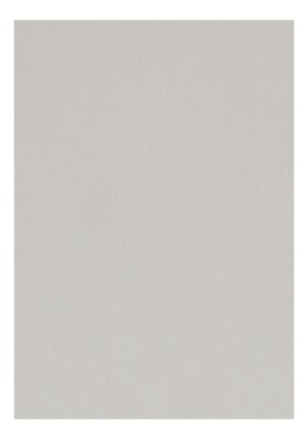 Clairefontaine Zeichenpapier A4 160g grau 5B