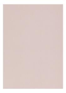 Clairefontaine Zeichenpapier A4 160g graurosa 5B