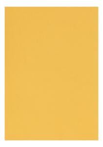 Clairefontaine Zeichenpapier A4 160g gelb 5B