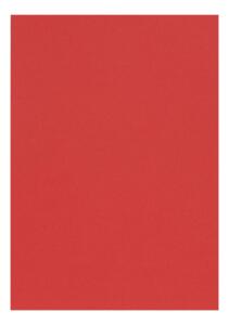 Clairefontaine Zeichenpapier A4 160g mohnrot 5B