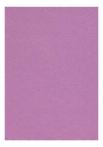 Clairefontaine Zeichenpapier A4 160g violett 5B