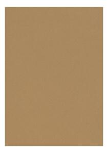 Clairefontaine Zeichenpapier A4 160g havannabraun 5B