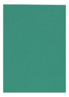 Clairefontaine Zeichenpapier A4 160g dunkelgrün 5B
