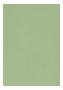 Clairefontaine Zeichenpapier A4 160g olivgrün 5B