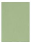 Clairefontaine Zeichenpapier A4 160g olivgrün 5B