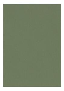 Clairefontaine Zeichenpapier A4 160g wassergrün 5B