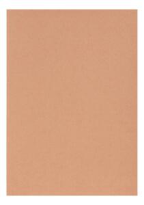 Clairefontaine Zeichenpapier A4 160g lachs 5B