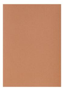 Clairefontaine Zeichenpapier A4 160g rost 5B