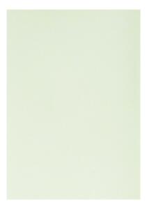 Clairefontaine Zeichenpapier A4 160g hellgrün 5B