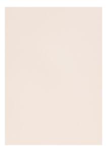 Clairefontaine Zeichenpapier A4 160g hellrosa 5B