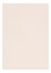Clairefontaine Zeichenpapier A4 160g hellrosa 5B