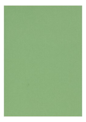 Clairefontaine Zeichenpapier A4 160g apfelgrün 5B