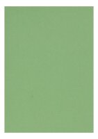 Clairefontaine Zeichenpapier A4 160g apfelgrün 5B