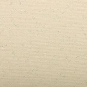 Clairefontaine Ingres 50x65 130g creme marm 25Bg