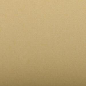 Clairefontaine Ingres 50x65 130g natur 25Bg