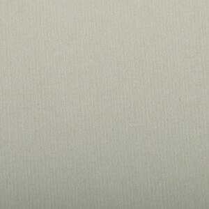 Clairefontaine Ingres 50x65 130g stahlgrau 25Bg
