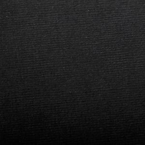 Clairefontaine Ingres 50x65 130g schwarz 25Bg