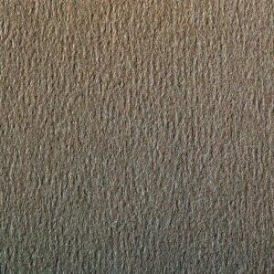 Clairefontaine Zeichenpapier A4 160g Grau 25Bg