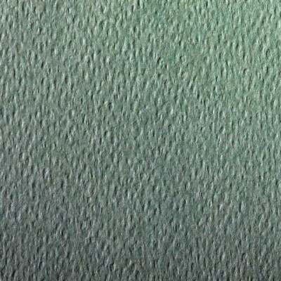 Clairefontaine Zeichenpapier A4 160ggrassgn 25Bg