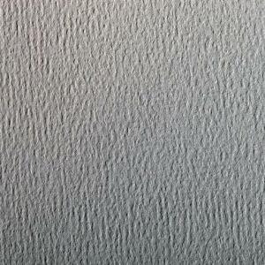 Clairefontaine Zeichenpapier A4 160g Hellgr 25Bg