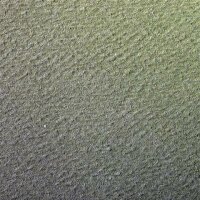 Clairefontaine Zeichenpapier A4 160g Hellgn 25Bg