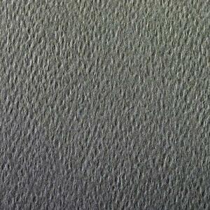 Clairefontaine Zeichenpapier A4 160g Dunkelgn 25Bg
