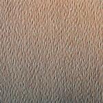 Clairefontaine Zeichenpapier A4 160g Ocker 25Bg