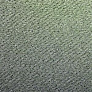 Clairefontaine Zeichenpapier A4 160g gn 25Bg