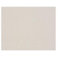 Clairefontaine Graupappe 3,0mm 1920g 60x80cm