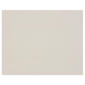 Clairefontaine Holzkarton 1,0mm, 600g 80x120 10Bg
