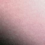 Clairefontaine Tonpapier 50x70 rosa 25Bg