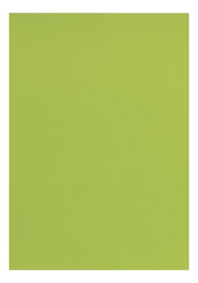 Clairefontaine Tonpapier A4 lindgrün 25Bg