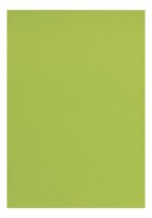 Clairefontaine Tonpapier A4 lindgrün 25Bg