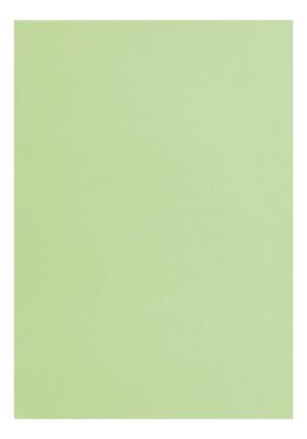 Clairefontaine Tonpapier A4 minze 25Bg