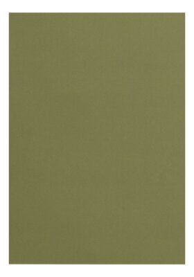 Clairefontaine Tonpapier A4 laubgrün 25Bg