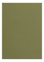 Clairefontaine Tonpapier A4 laubgrün 25Bg