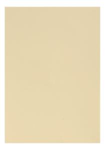 Clairefontaine Tonpapier A4 chamois 25Bg