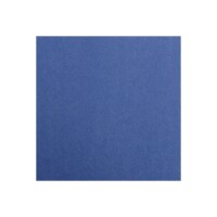 Clairefontaine Fotokarton A4 mitternachtsblau 25Bg