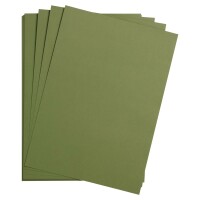 Clairefontaine Fotokarton A4 laubgrün 25Bg