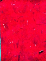 Clairefontaine Bananenpapier 65x95 rot 10Bg