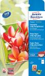 Zweckform Inkjet Fotopapier 10x15 50x1ST C255050...