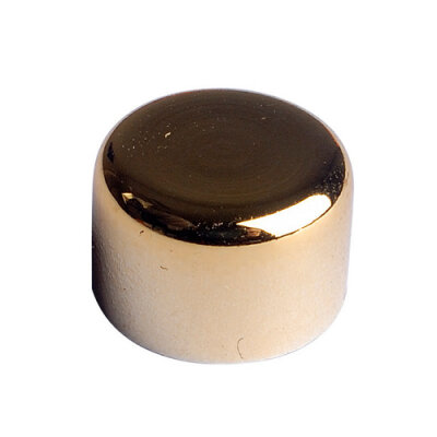 Exacompta Magnete Ø 12mm gold 8St