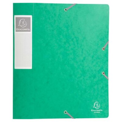 Exacompta Archivbox 24x32 60mm Manila grün