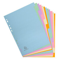Exacompta Register A4 Recy 12tlg pastell