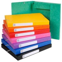 Exacompta Archivbox 24x32 25mm Manila sort