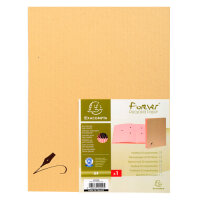 Exacompta Unterschriftenmappen 20 F Kraft bn